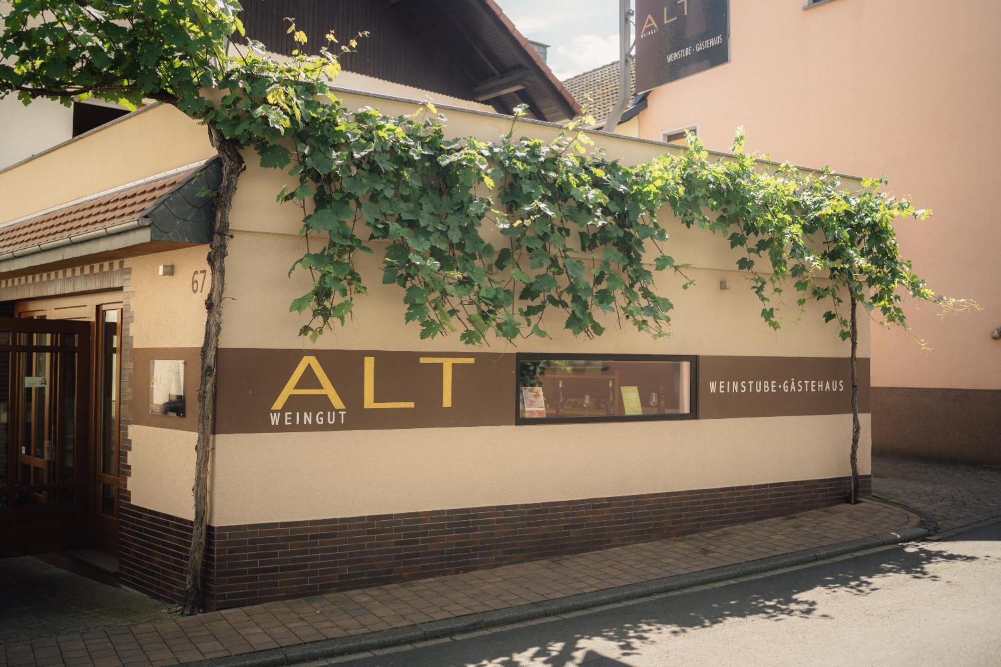 Weingut Und Gaestehaus Holger Alt Monzingen Eksteriør billede