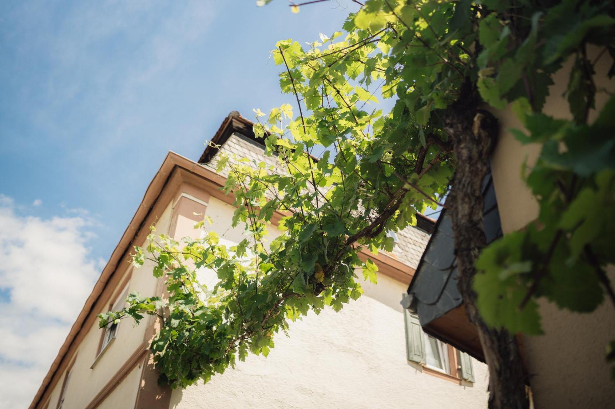 Weingut Und Gaestehaus Holger Alt Monzingen Eksteriør billede